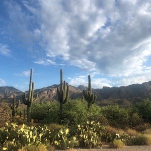 Meet your Posher, Margie